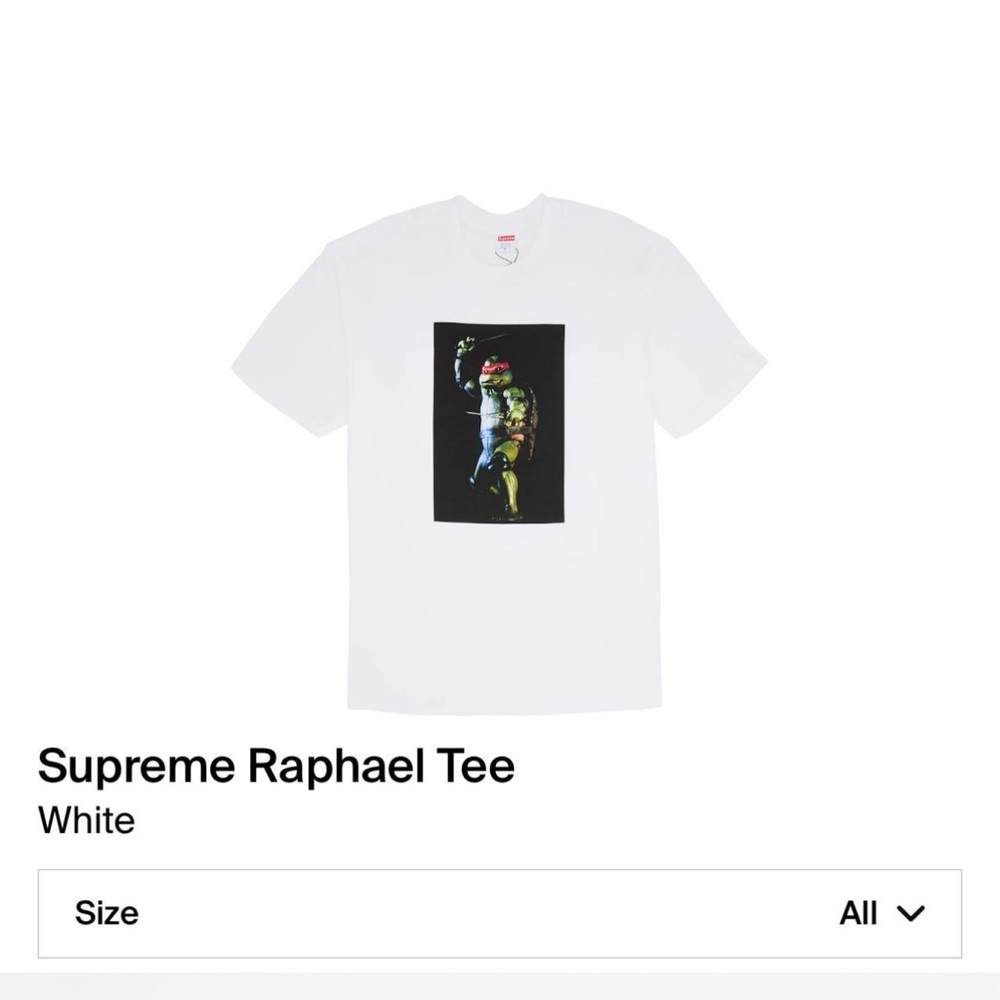 Supreme Raphael Tee White